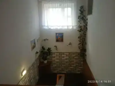 Мустанг - 35