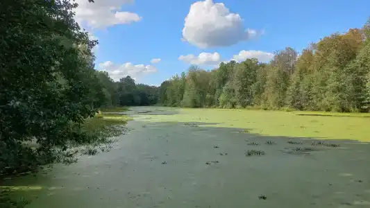 Улыбышево - 24