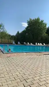 Мечта - 20