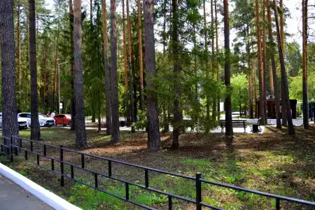 Лесная Жемчужина - 30