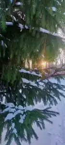КАМАЗ Саулык - 40