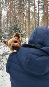 Усадьба на Шамокше - 71