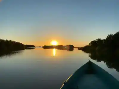 Флотраскат - 1
