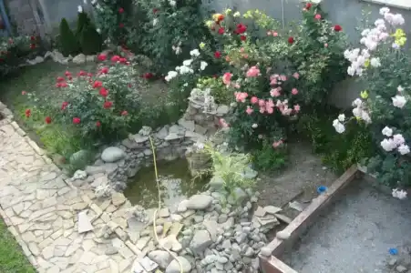 Эльвира - 1