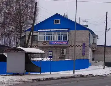 Фиалка - 0