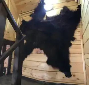 Сердце Сибири - 12