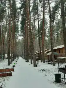 Чайка - 11
