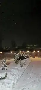 Апельсин - 61