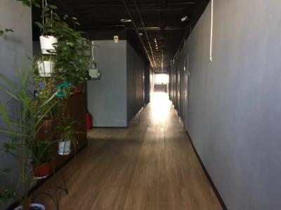 Полярник - 29