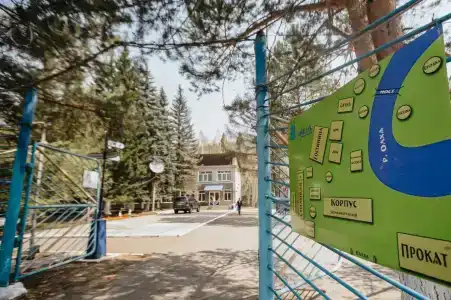 Голубые Ели - 23