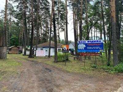 Медведь - 4