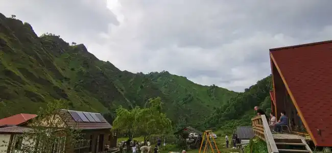 Альпака - 28