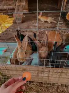 Александровский спас - 21