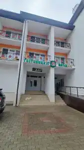 Беловежская пуща. №2 - 36