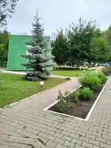 Дон - 14