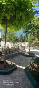 Villa Verde & Radiance - 19