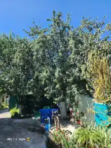 У Михайловича - 10