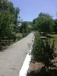 Лаванда - 28
