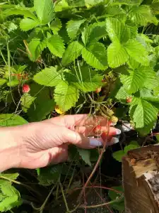 К-значит Карелия - 90