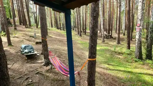 Омега - 25