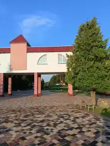 Пралеска - 7