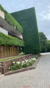 Золотые пески - 24