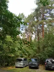 Коттедж БЕРЁЗКА на озере Большой Кисегач - 23