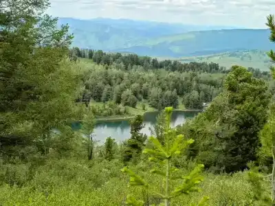 Замульта кемп - 10