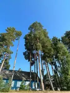 Друг - 30