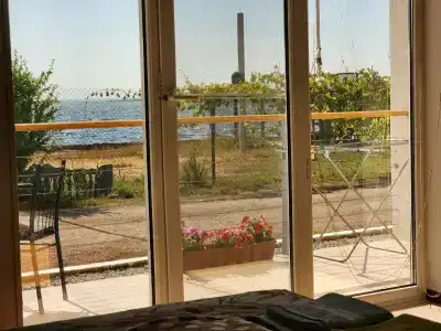 Vino - 65