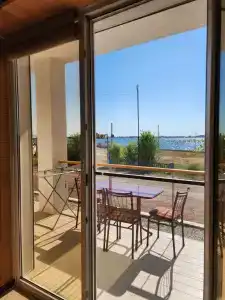 Vino - 81