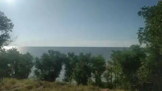 Виста - 37