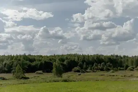 Мордасово - 61