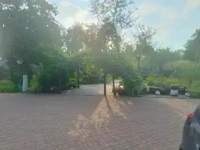 Панский сад - 81