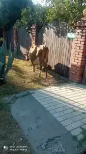 Экохаус - 19