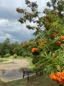Озеро Яровое - 17