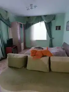 Амир-Дани - 11