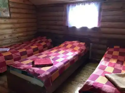Чайка - 24