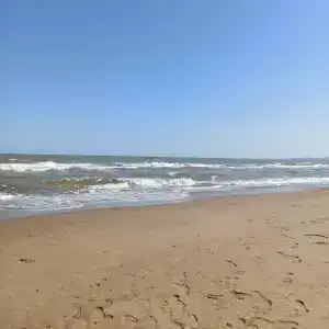 Золотые Пески - 58