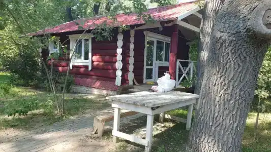 Иволга - 8
