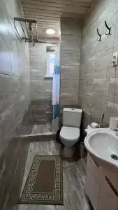 Багира - 25
