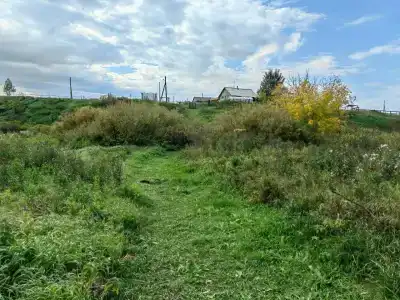 Oikos - 30