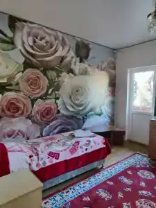 Аланский двор - 8