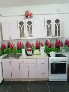 Лотус - 4