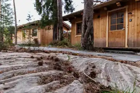 Удивительное рядом - 80