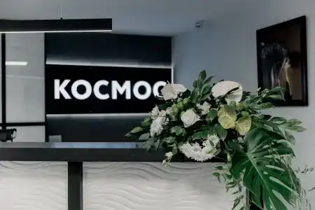 Космос - 29
