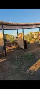 Рыбаградъ - 97