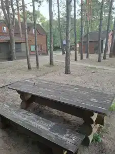 Россия - 14