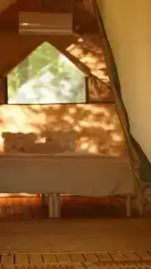Дана - 1