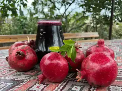 Турдагестан - 17